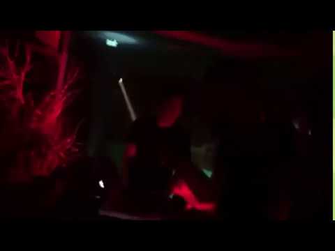 Luixar KL at The Zoo Project 🐒🦍🐵🍌🏝️IBIZA🏝️