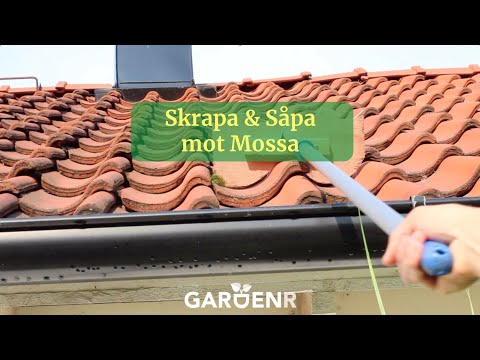 Bort med mossa utan mossmedel - Trädgårdshacks med GardenR