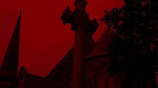 Scarlet Leaves -  Luxuriae