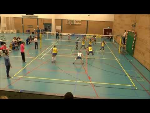 Brainconsultant Donitas - Flamingo's, Set 1