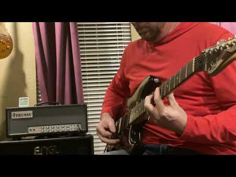 Friedman Twin Sister