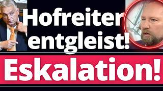 Hochbrisant: Hofreiter will Orban Wahlsieg NICHT anerkennen!!