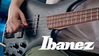 Video thumbnail for Does this Ibanez Bass Djent? SR300EB-WK / Metal / Tone Test by Serga Kasinets