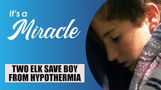 Two Elk Save Boy from Hypothermia - It&#39;s A Miracle - 6033