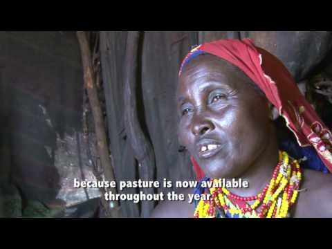 Climate Change Adaptation