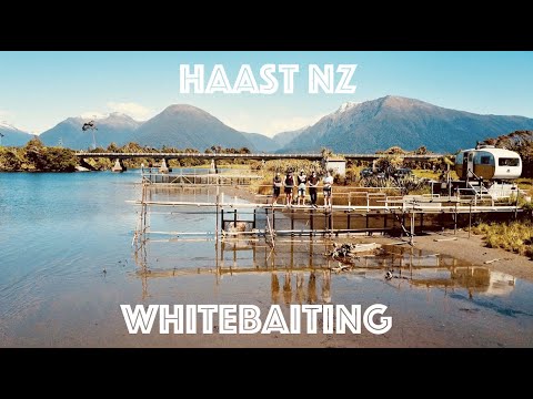 Whitebaiting West Coast New Zealand (Haast)