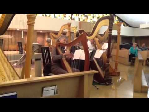 Saguaro, composed by Laurie Riley. Played on a William Webster Cecelia harp.