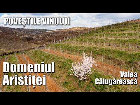 Poveștile vinului - descoperim crama Domeniul Aristitei
