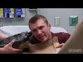 Untold Stories of the ER - Snapping turtle