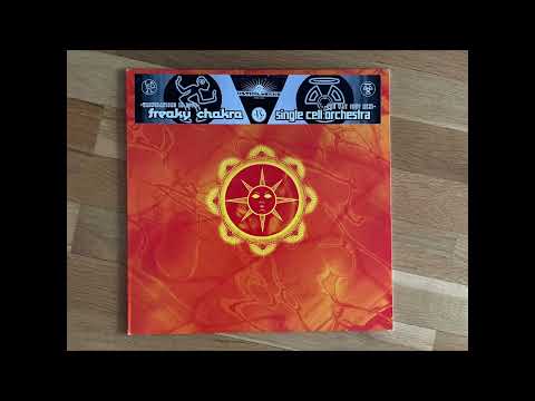 Single Cell Orchestra - The Way Out (Out mix)