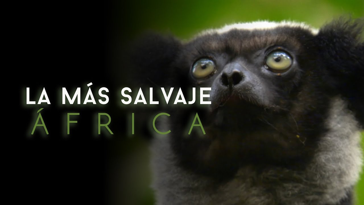 África más salvaje - Costa del Cabo: donde los mundos chocan