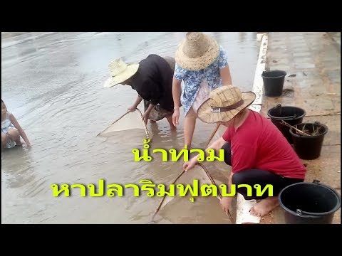 รักษาความอ่อนแอชาย ตื่นเต้นเป็นผู้หญิงราศีกุมภ์