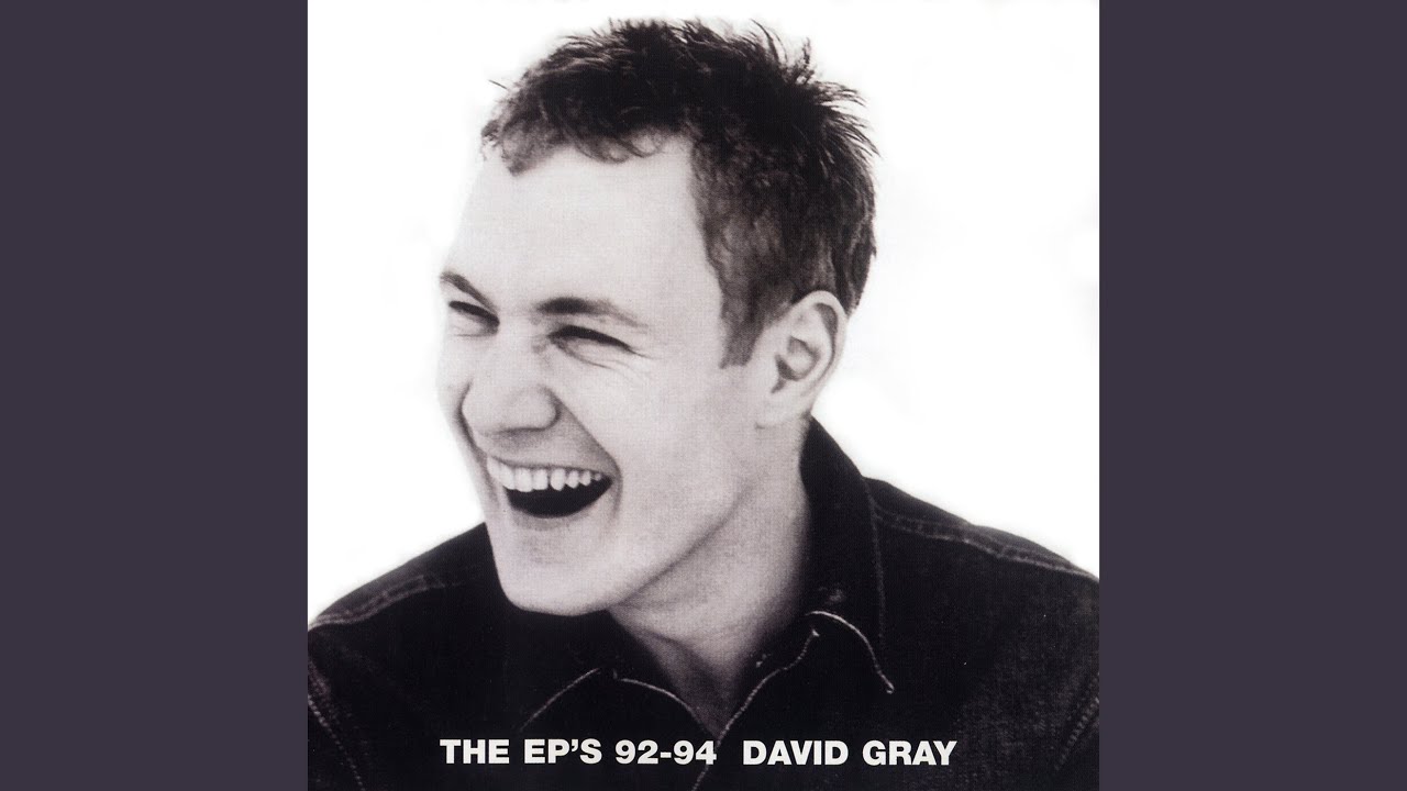 David Gray - The Rice