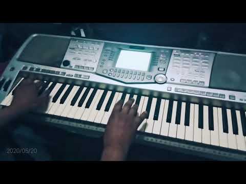 pardesiyon se puch puch roi mein | cover by instrumental play by Dr manjeet nirala