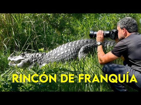 RINCÓN DE FRANQUÍA - Departamento de Artigas