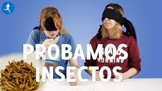 ¿Comerías INSECTOS porque son ricos en proteínas? Los PROBAMOS y te damos nuestra opinión