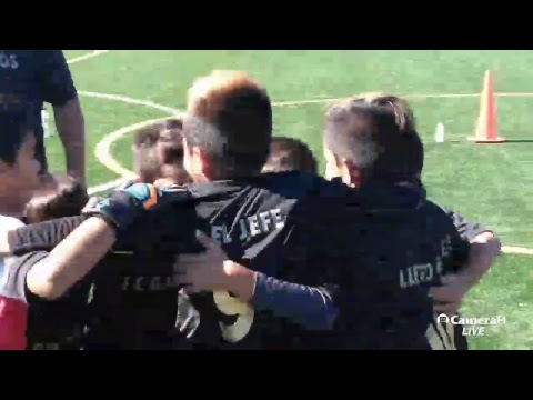 Vermont Sport Club Soccer League (2t./final/cat.2011) Gallitos FC.  vs.  Falcons