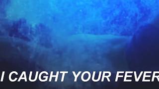 Carly Rae Jepsen - Fever (Aesthetic Lyric Video)