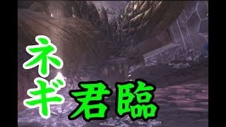 [声優/実況]片手剣おじさんがいく！ついに王ネギとご対面！[モンハンワールド]