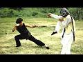 The Dragon Fist Avenger Best Action Chinese Martial Arts Movie In English