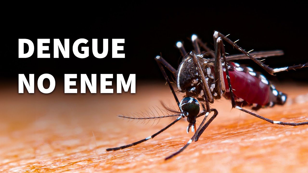Dengue: Descubra como o vírus é cobrado na prova do ENEM | ProEnem