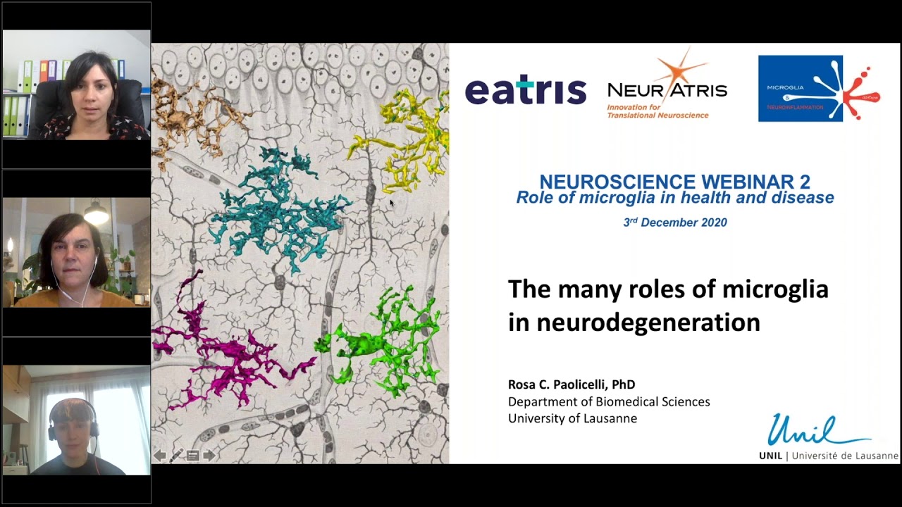 Neuroscience Webinar - Role of microglia in health and disease