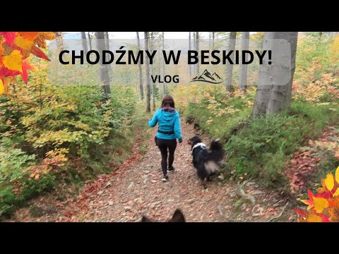 BESKIDY Z PSAMI, gdzie warto iść? | VLOG