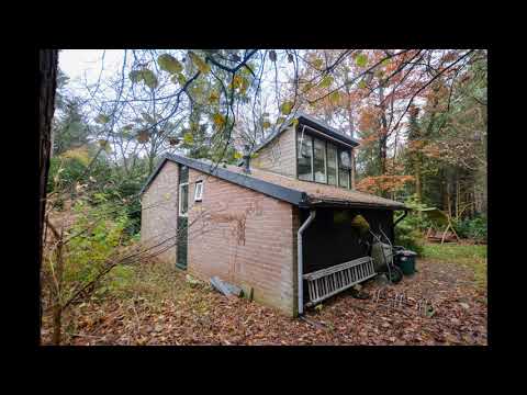 de Hongerige Wolf 14, Stegeren