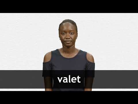 English Translation of “VALET” | Collins French-English Dictionary