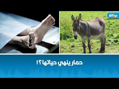 q24.ovh