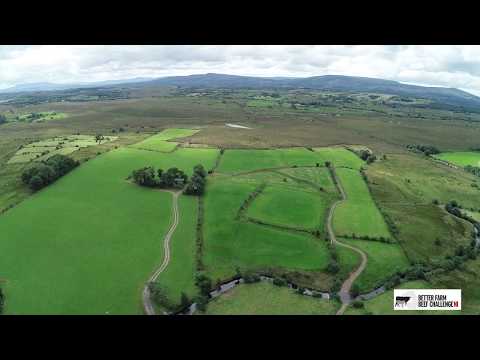 BETTER Farm NI - Major grassland improvement in Fermanagh