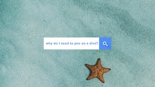 Why do I need to pee on a dive? | Answered | @simplyscuba