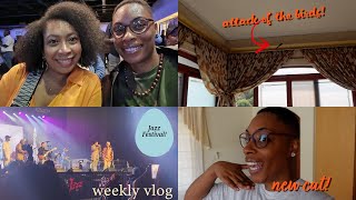 jazz festival, bird invasion, new cut and more | Dee's Vlogs