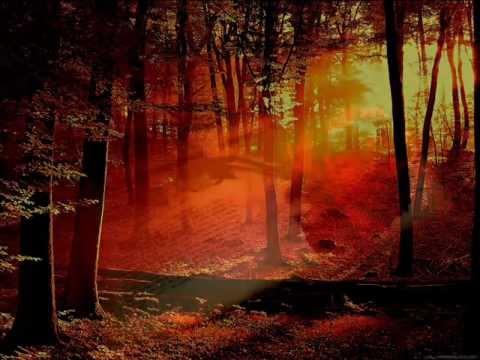 download lagu mp3 mp4 The Gathering When The Sun Hits, download lagu The Gathering When The Sun Hits gratis, unduh video klip The Gathering When The Sun Hits