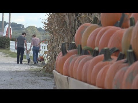 St. Louis doctors give COVID-19 safety tips for Halloween celebrations