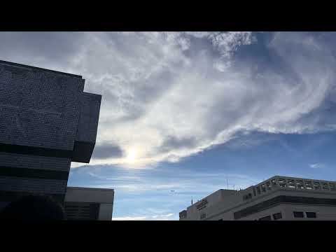 「虚弱に生きる」がよかった、冬コミの構想を話す