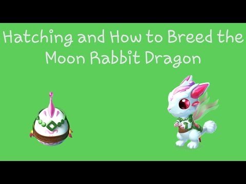 Hatching and How to Breed the Moon Rabbit Dragon | DML Windows Gameplay #44