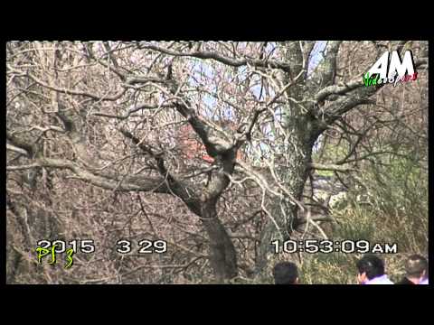 Greco   Bongiovanni PSG 2° Rally Torri Saracene HD