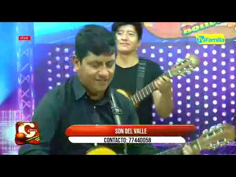 SAUCE LLORON   ( CUECA )   SON DEL VALLE