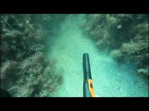 Миниатюра изображения товара Пинпоинтер Sphinx 01 Orange SPX001OR