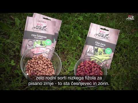 SPAR KOT NEKOČ - Metka in pridelava fižola