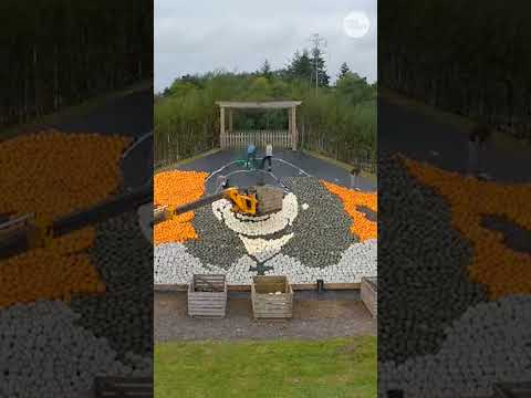 Watch Ozzy Osborne get a gourd sized salute from farm Shorts