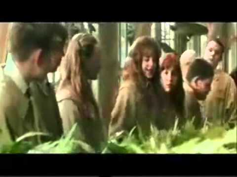 Top 30 Sprüche aus Harry Potter Verarschen von Coldmirror