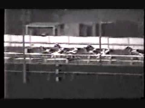 Peter Haughton Memorial 1990 -Charlie Ten Hitch