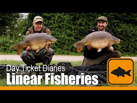 Linear Fisheries, Day Ticket Diaries at Brasenose One with Ben Steger & Ed Betteridge - Carp Fishing