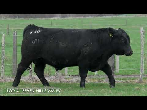 Lot 4  SEVEN HILLS V38 PV