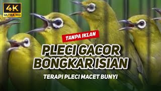 Download lagu MASTERAN PLECI GACOR BONGKAR ISIAN MALAM HARI TANPA IKLAN mp3