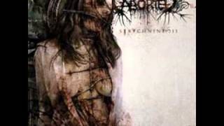 Aborted - Avarice Of Vilification