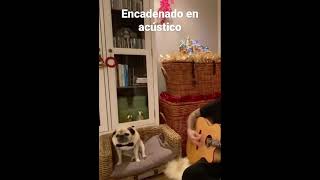 Carlos Escobedo Sôber “Encadenado en acústico “