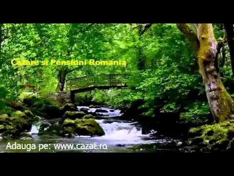 Cazare Scortaru Nou, Braila - Cazat.ro